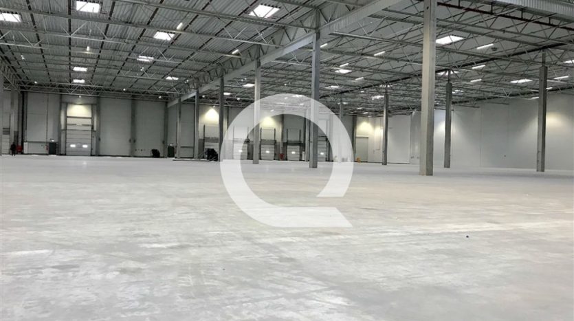 Hala na wynajem 9 000 m2 - Gdańsk Stogi, Kontenerowa - 5