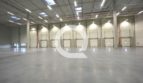 Hala na wynajem 9 000 m2 - Gdańsk Stogi, Kontenerowa - 7